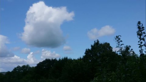A timelapse which pans over a view of cloudsing with trees in the foreground