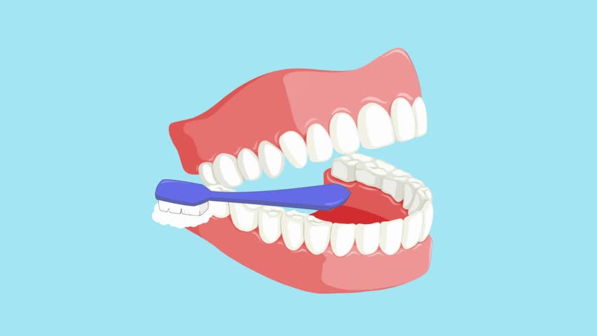 Dental Care - Vector Animation