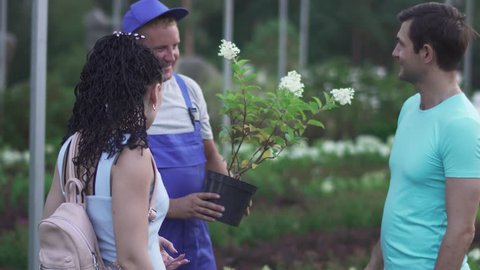Tall gardener shows flower to customers in the garden