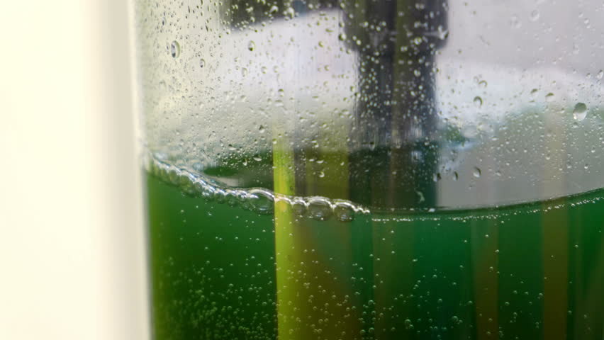 green liquid lab spirulina superfood production laboratory harvesting - food supplement vitamin protein and beta carotene source .