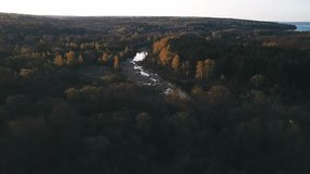 dawn over the forest and the river. aerial survey. there is noise on the video