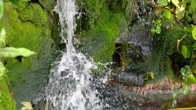 Slow motion video of close up water flowing / splashing / waterfall from the rock in the forest. (High Speed Video)