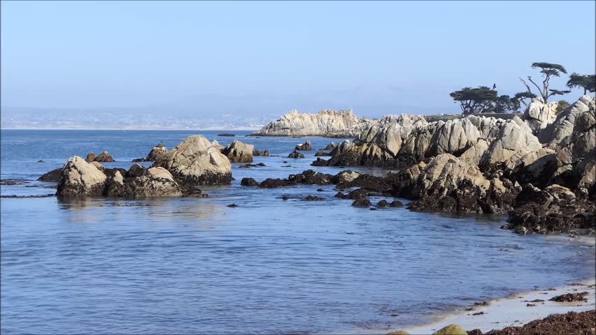 Ocean and rocky shores