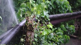 A spray of water from a leaky pipe | Panning | Slow motion - Powered by Shutterstock - Get 15% off with code: PIKWIZARD15