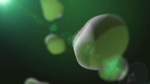 Animated Green Bacteria in Plasma
