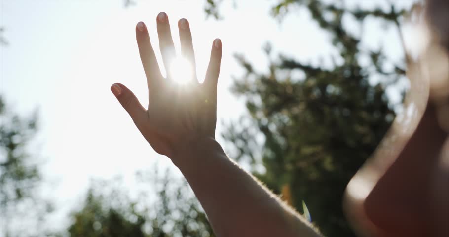 Sun shines through woman's hand while she holds it among green leaves in the forest | Shutterstock HD Video #1016996455