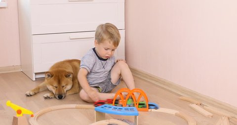 Shiba inu dog and 3 years old child boy are best friends, they play together at floor at home. Happy kid concept