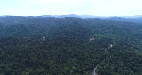 An aerial view of Tropical Rainforest Dipterocarp Trees at Danum Valley Conservation Area is a tract of relatively undisturbed lowland dipterocarp forest in Sabah, Malaysia.