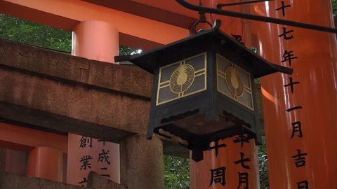 Farolillo of the Fushimi Inari Shrine