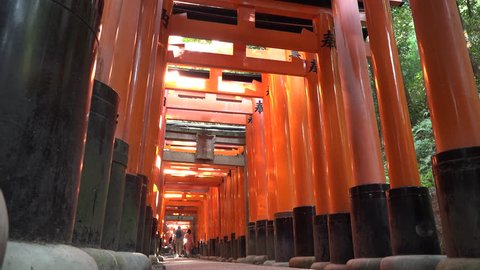 The torii Fushimi Inari Shrine