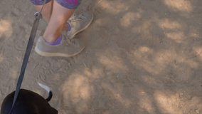 This real time point of view video shows an overhead view of an athletic female walking her italian greyhound dog on a hiking trail.