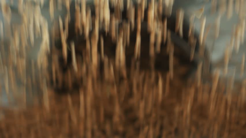 Purified wheat grains fall into the modern automated mill