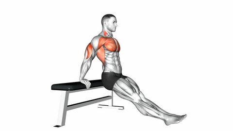 Bench dip on floor exercise. Anatomy of fitness and bodybuilding. Targeted muscles are red. 3d