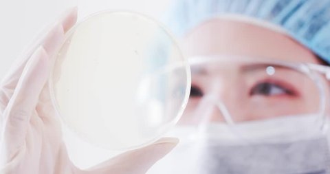 woman scientist take petri dish in the laboratory