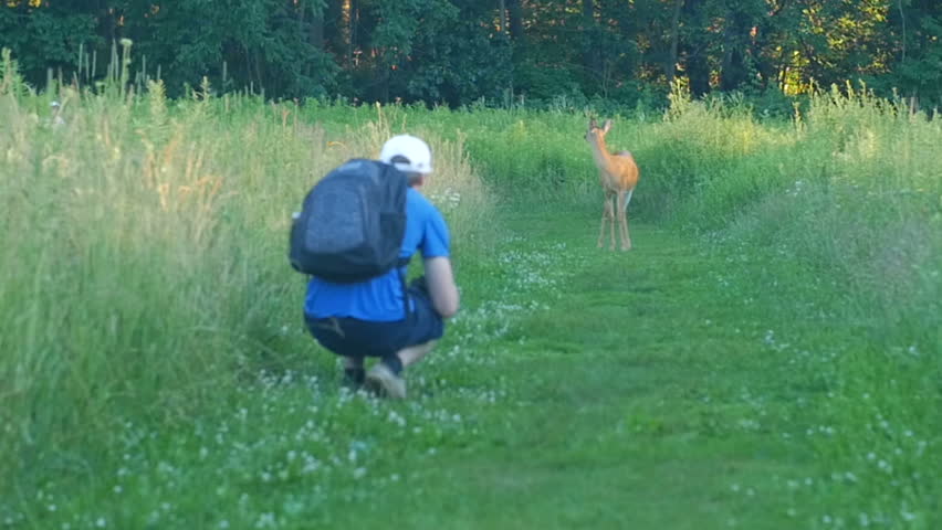 Young attractive man sees deer on trail and tries to get close to deer during summer