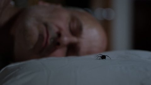 Black Widow Spider sitting next to sleeping man on pillow then crawls away.