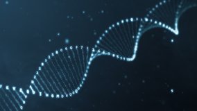 Seamless animation of DNA rotation from hexadecimal code - Powered by Shutterstock - Get 15% off with code: PIKWIZARD15