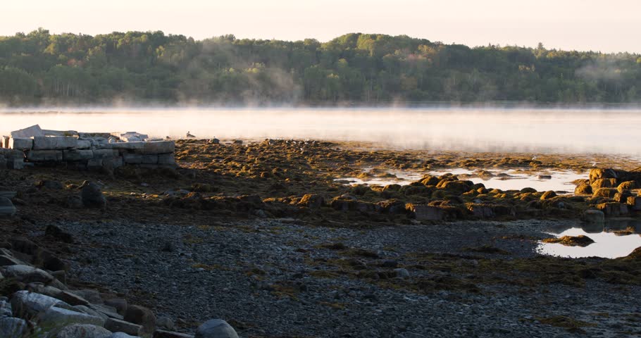 Fog above the ocean off the coast of Maine at daybreak.
