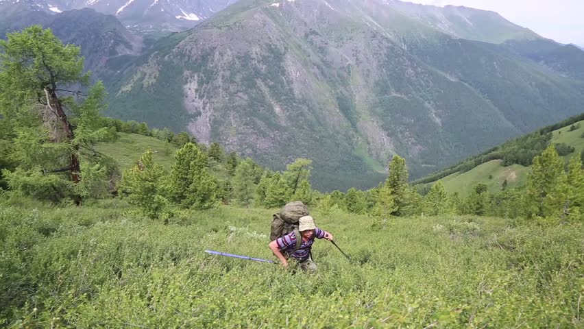 The tourist makes their way through the high mountain in the mountains. A man with a backpack goes to the waist in the grass with a backpack on his shoulders.