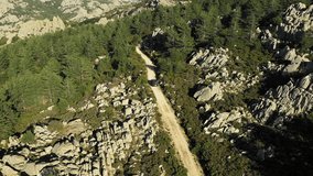 Video from above, aerial view of an off road car that is passing on a dirt road among the green mountains of Mount Limbara in Sardinia, Italy.