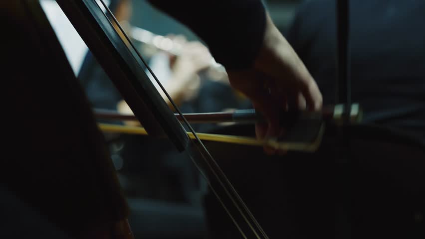 Violin at a concert