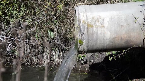 Concrete pipe transporting the poluted river in to a small pond.	