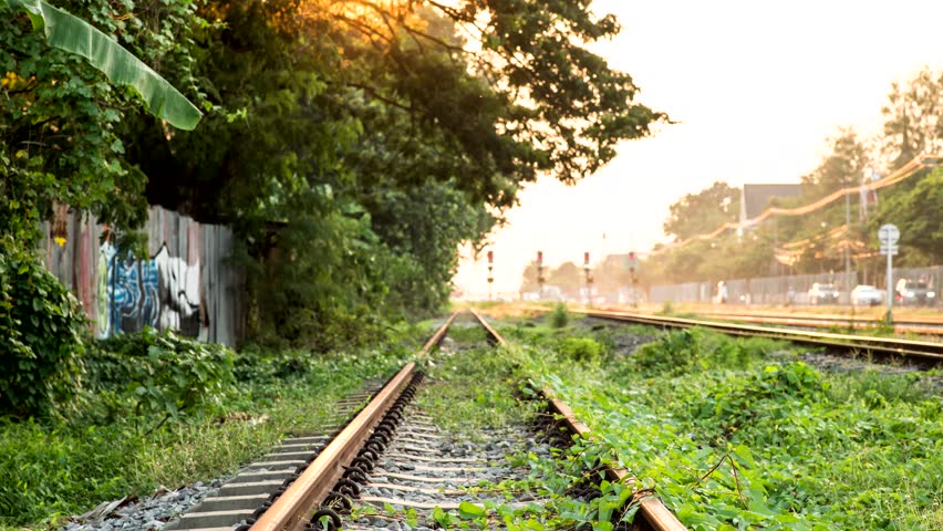 Sun going down under the tree and rail tracks one side road one side blur street graffiti with train running pass through