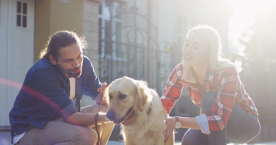Portrait shot of the happy young couple stroking their labrador dog while sitting with it on the street on sunny summer day. Close up.