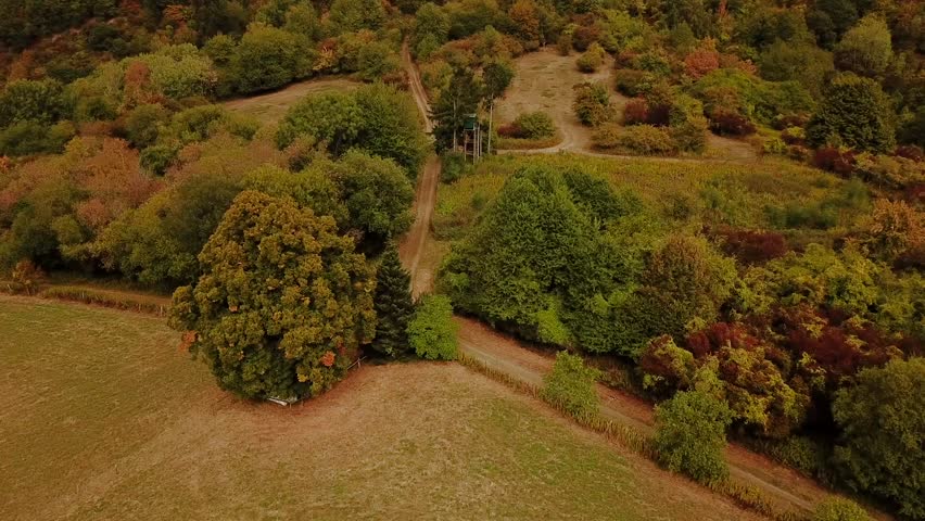 Intersection of rural paths between forest and fields during summer, seen from above (HD)