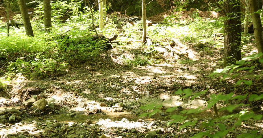 Young Couple and Old Woman with Backpacks Crossing the Creek Walk Tourist Path