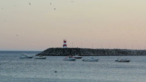 Ocean with Boats, red lighthouse on pier, and seagulls on sky