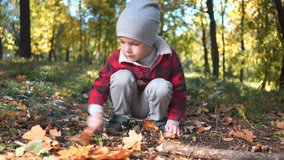 Footage little boy playing with a tree branch sitting on ground with yellow leaves in autumn park. Childhood 4k video