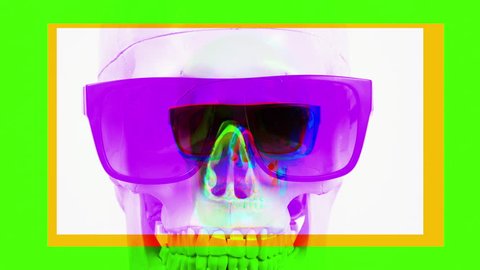 skull with changing cool sunglasses and glasses.