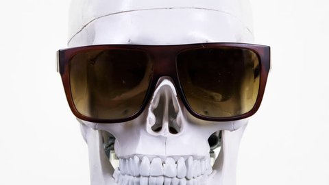 skull with changing cool sunglasses and glasses.