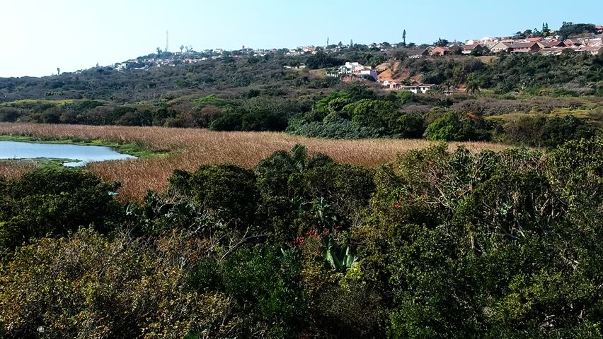 Aerial view of Bluff Durban Bush Park trees and a marsh surrounding a pond. Houses on a hill in the distance against a bright blue sky.