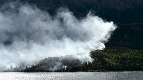 Smoke rising from wildfire in Carcross, Yukon