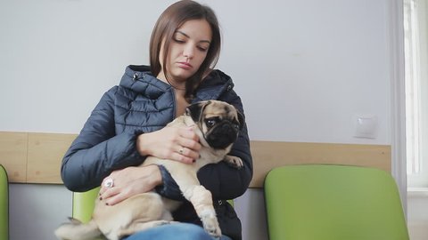 Sick dog pug with bandaged paw in line at veterinary clinic. Girl holds a sick dog in her arms, strokes, regrets. Close-up