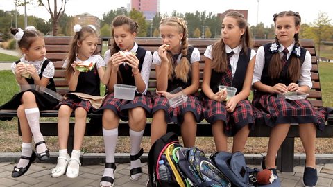 Students Park After Classes Celebrate Sandwich Stock Footage Video (100 ...