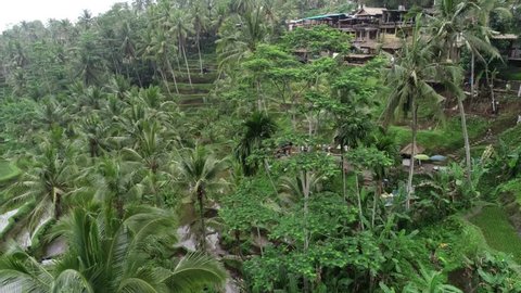 Bali / Indonesia - August 17, 2018 : Ubud Rice Fields and Villages in Bali