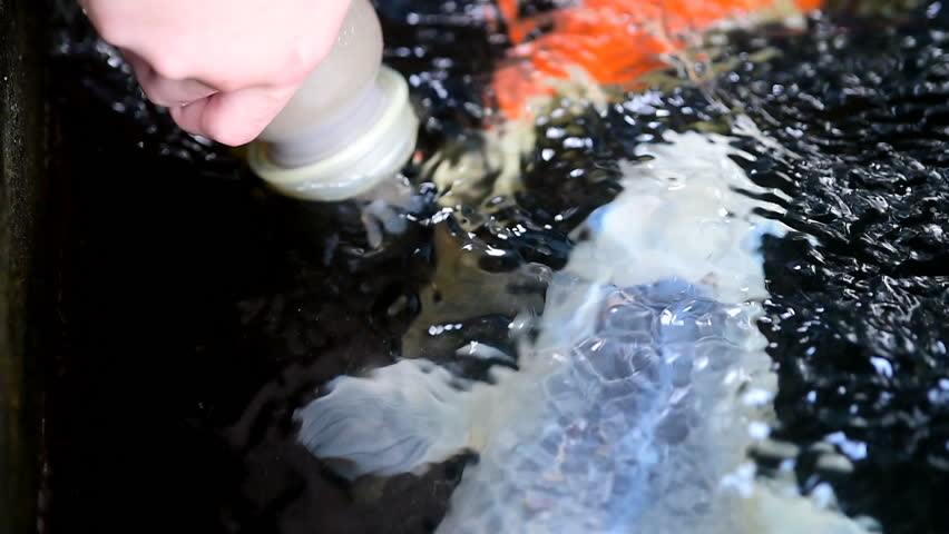 Hand of a child  hold a feeding bottle for  crayfish in the pond.