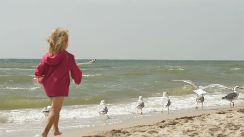 Laughing girl playing with birds gulls on a beautiful beach on a sunny day amidst sea waves 4k