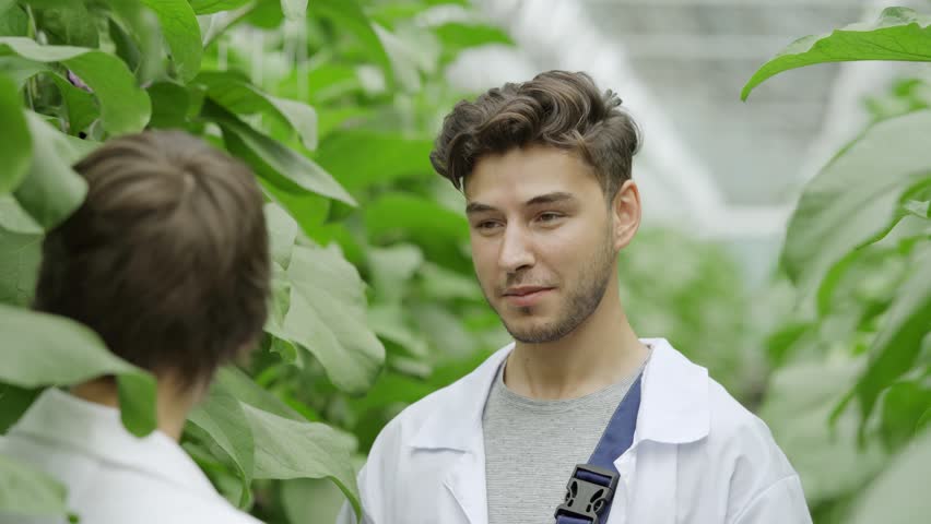 Shutterstock video thumbnail