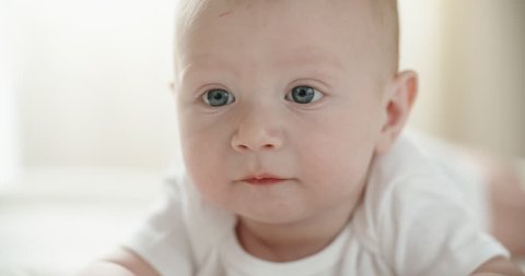 Portrait Of Adorable 3 Month Video De Stock 100 Libre De Droit Shutterstock