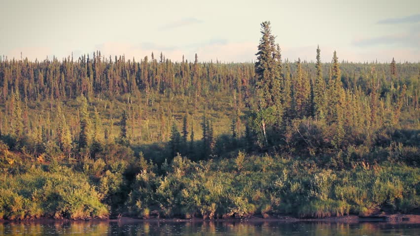 Yukon river, Yukon Territory, Alaska. Night camp of a canoe expedition to Alaska. Autum forest on the other side of a camp with the smoke of the fire crossing the image.