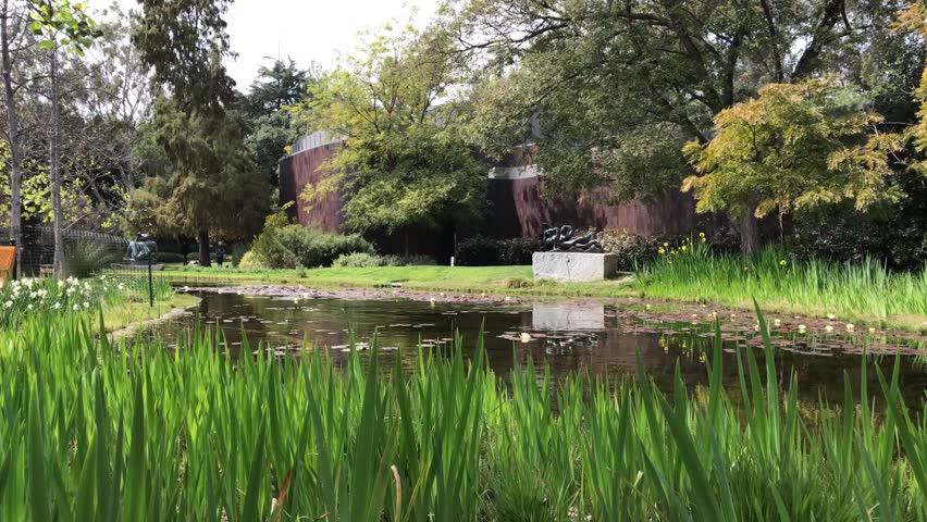 Pasadena, CA Outdoor Lilly Pad Pond in Daytime 