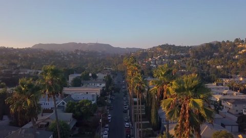 Beautiful aerial Los Angeles view with long Palms during sunset. California view near Hollywood sign district.