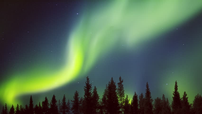 Northern lights curtains in a forest Royalty-Free Stock Footage #1017339781