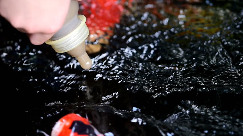 Hand of a child  hold a feeding bottle for  crayfish in the pond.
