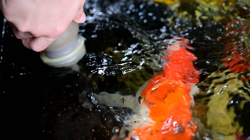 Hand of a child  hold a feeding bottle for  crayfish in the pond.