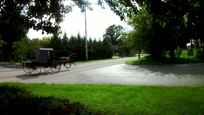 Amish Transportation Type Buggy Pick Up